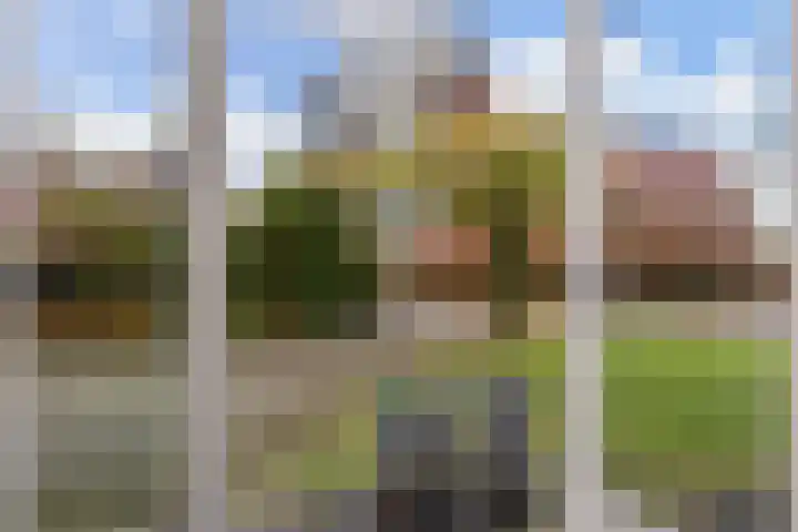 Abrahamsplein 4 Augustinusga thumbnail 30