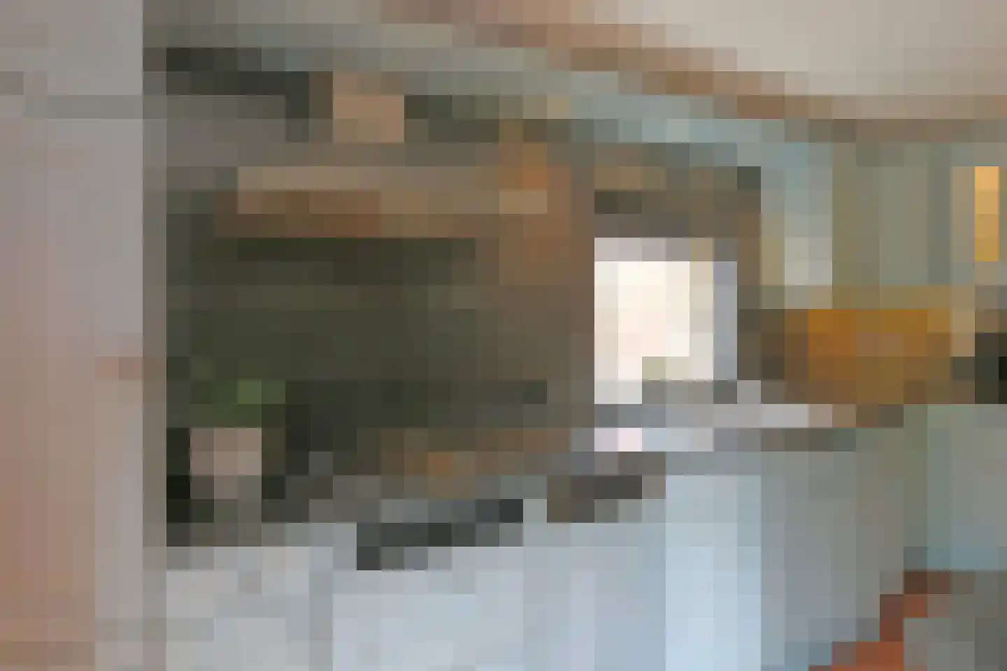 Abrahamsplein 5 Augustinusga thumbnail 15