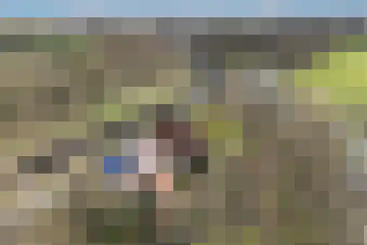 Abramsdreef 18 Veldhoven thumbnail 32