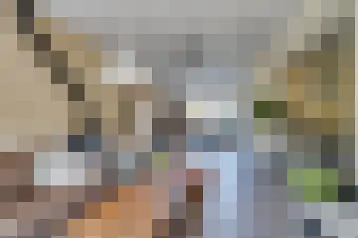 Abramsdreef 28 Veldhoven thumbnail 7
