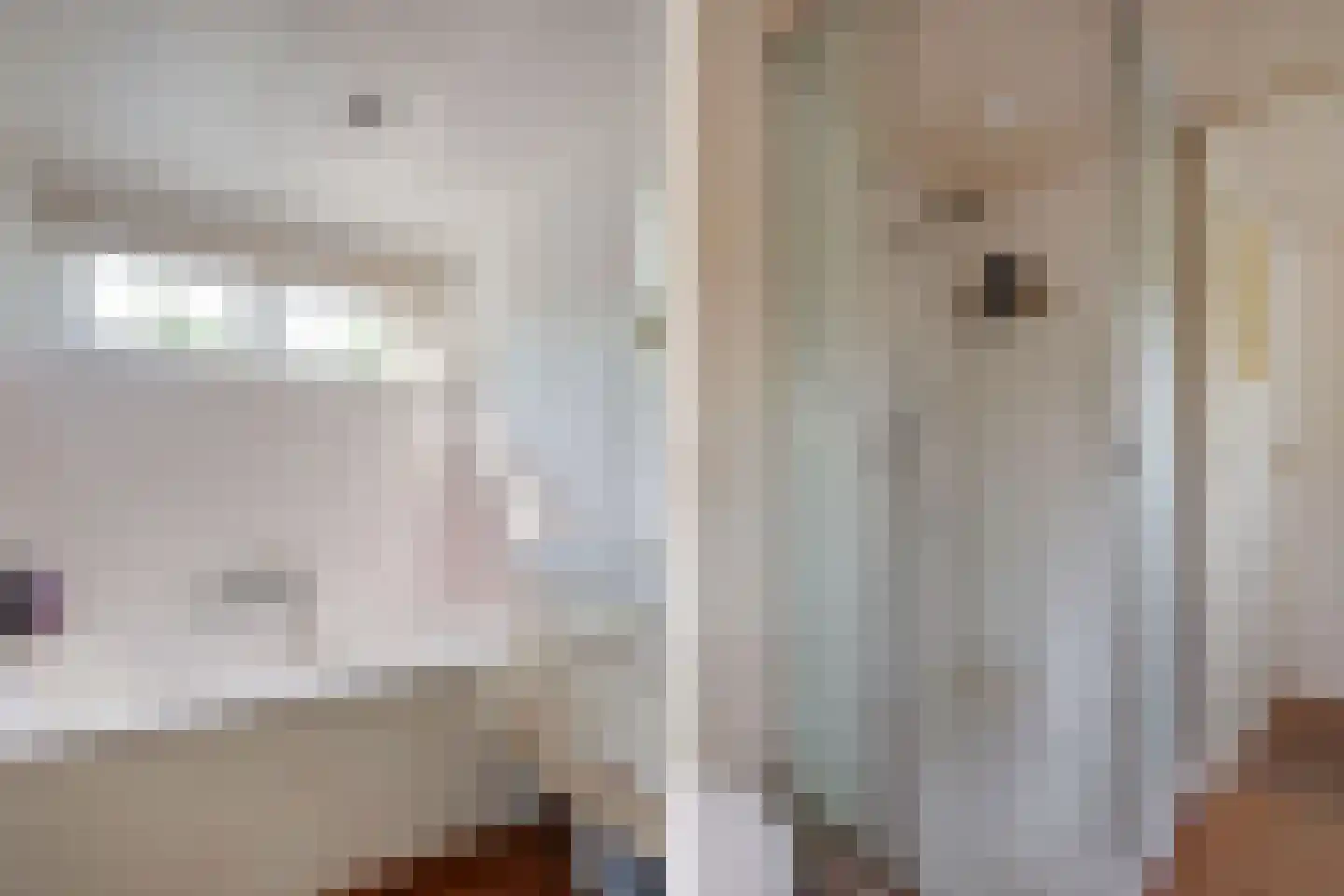 Abri 18 Naarden thumbnail 18