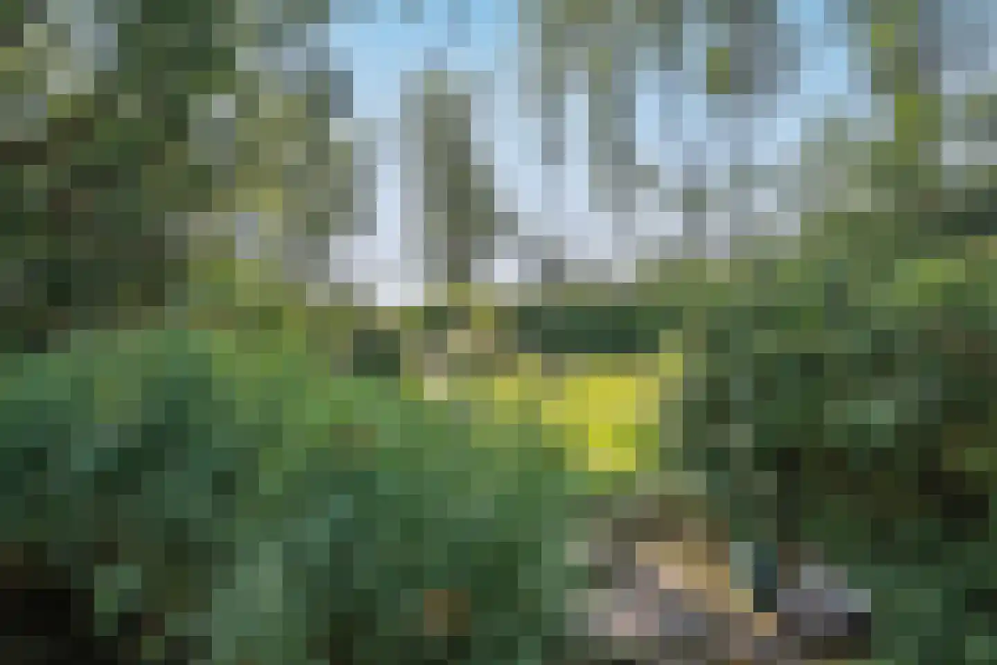 Abri 18 Naarden thumbnail 29