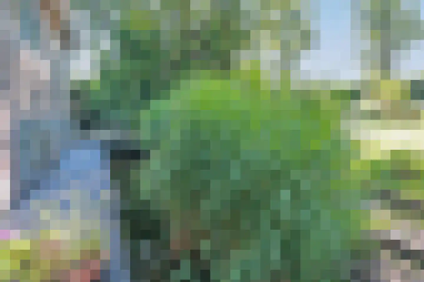 Abri 18 Naarden thumbnail 31
