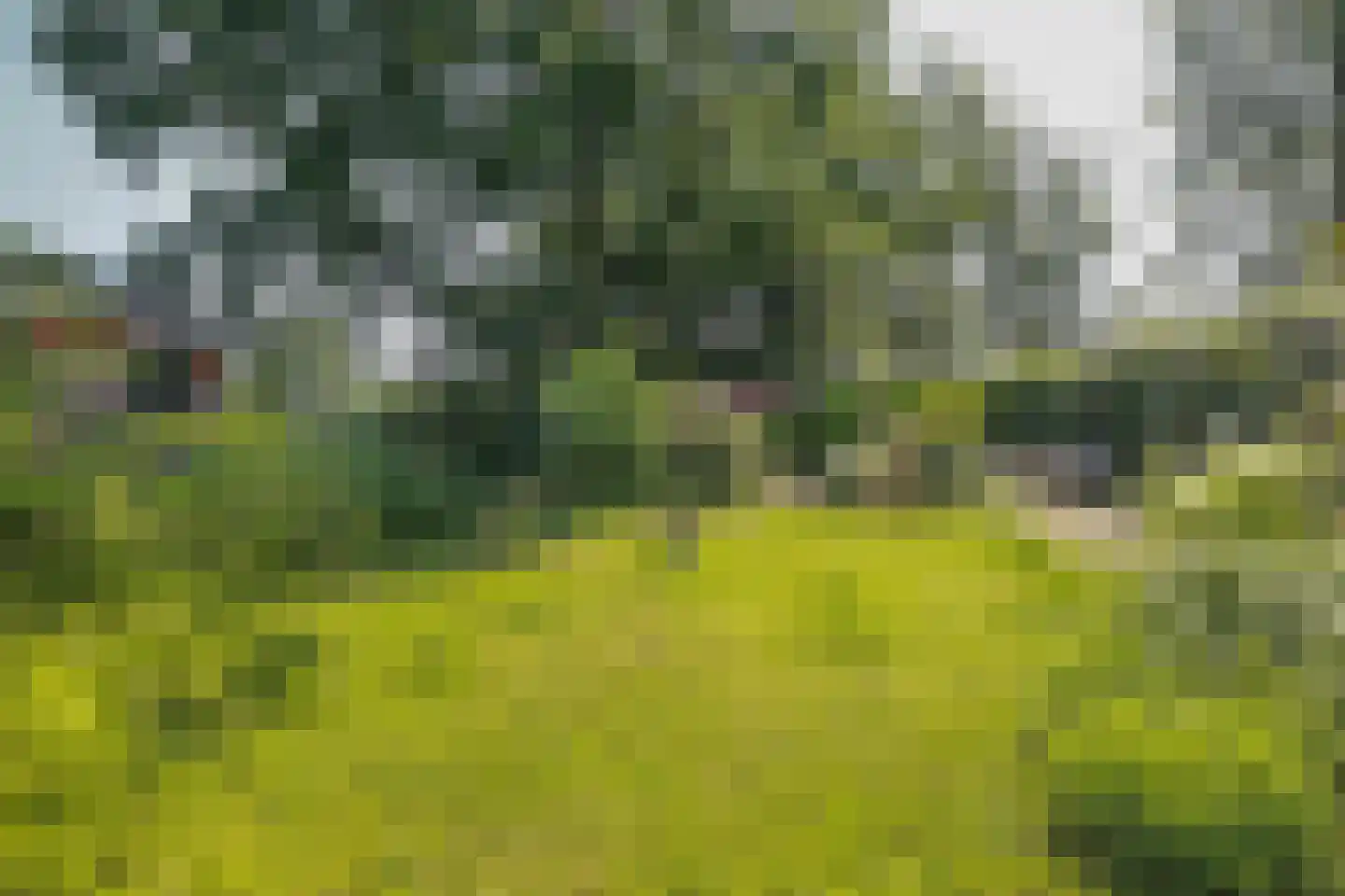 Abri 18 Naarden thumbnail 40