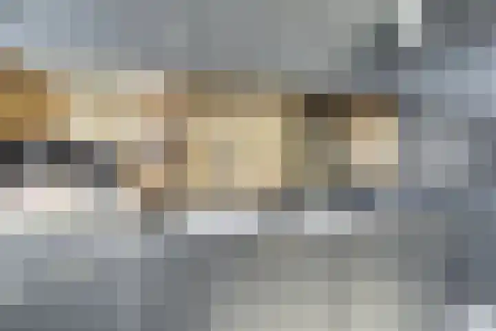 Abrikoosstraat 1 A Utrecht thumbnail 12