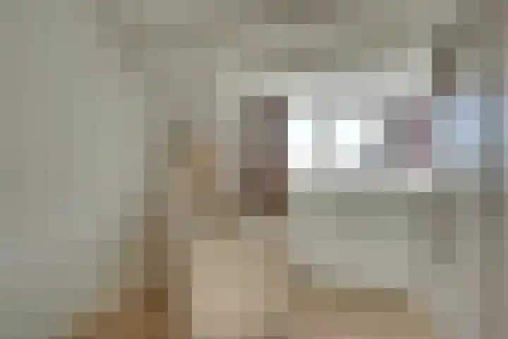 Abrikoosstraat 1 A Utrecht thumbnail 26