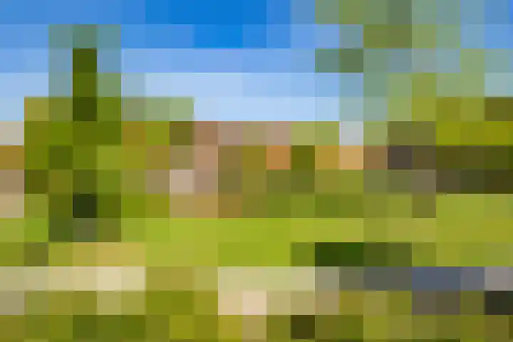 Abrikoosstraat 1 A Utrecht thumbnail 32