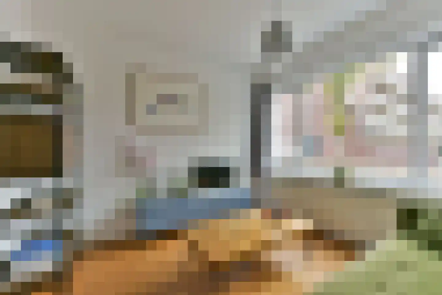 Abrikoosstraat 1 C Utrecht thumbnail 10