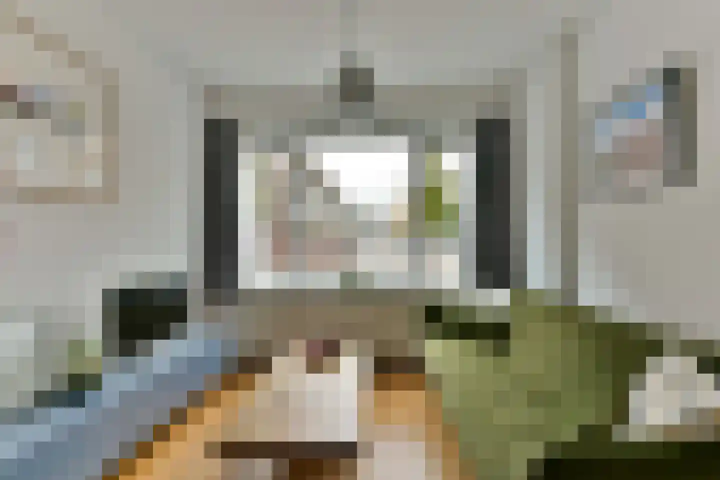 Abrikoosstraat 1 C Utrecht thumbnail 11