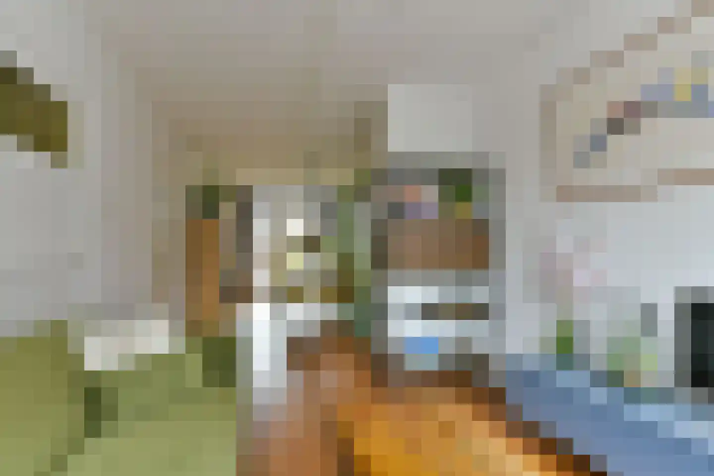 Abrikoosstraat 1 C Utrecht thumbnail 12