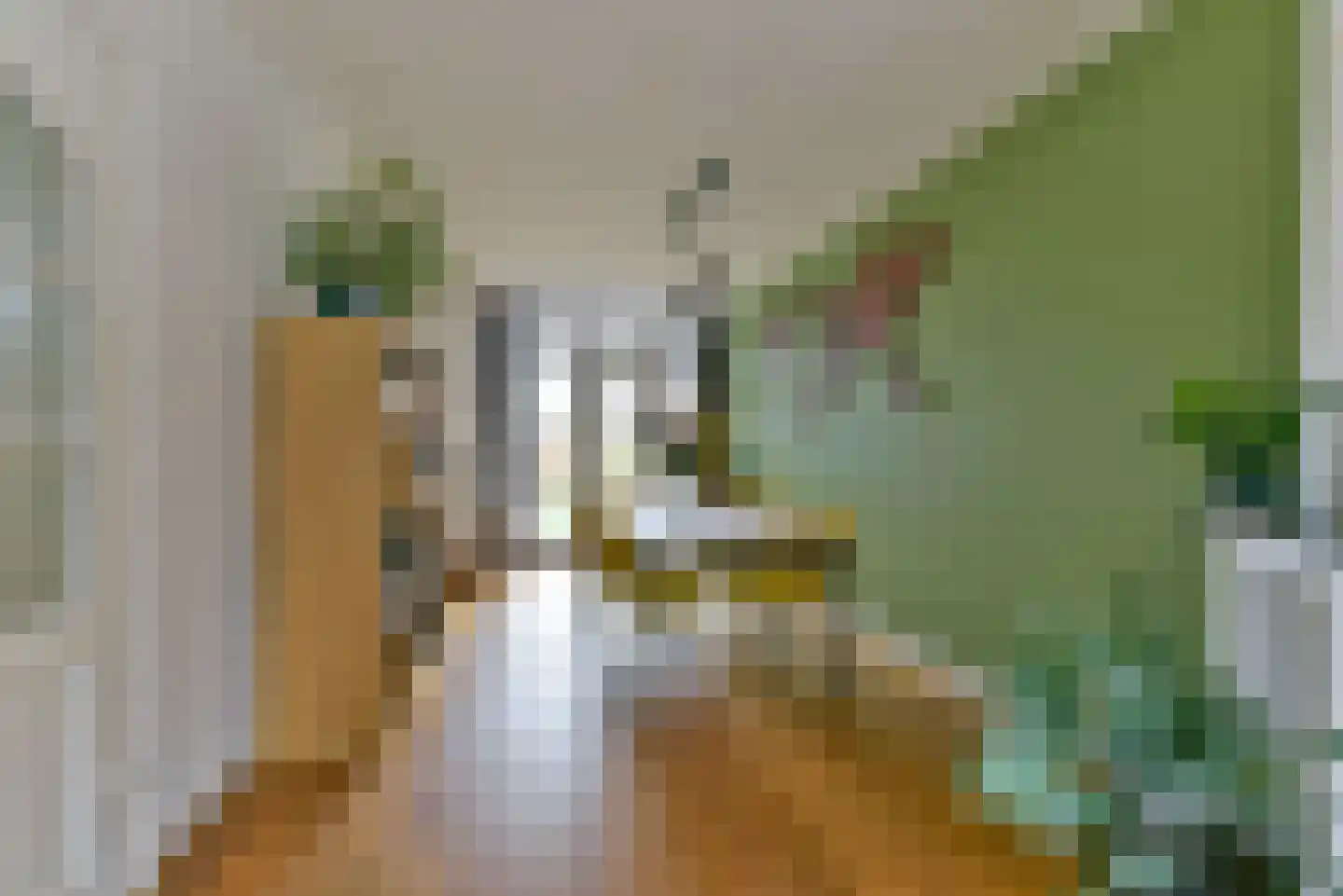 Abrikoosstraat 1 C Utrecht thumbnail 13