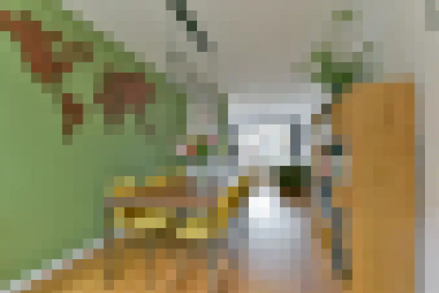 Abrikoosstraat 1 C Utrecht thumbnail 14