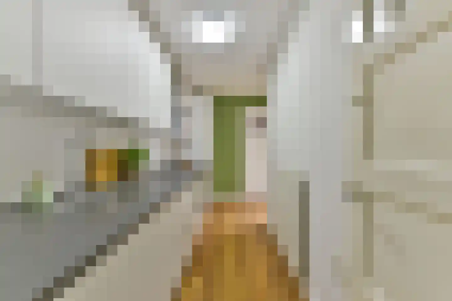 Abrikoosstraat 1 C Utrecht thumbnail 16