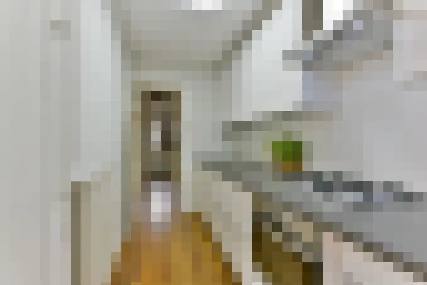 Abrikoosstraat 1 C Utrecht thumbnail 17