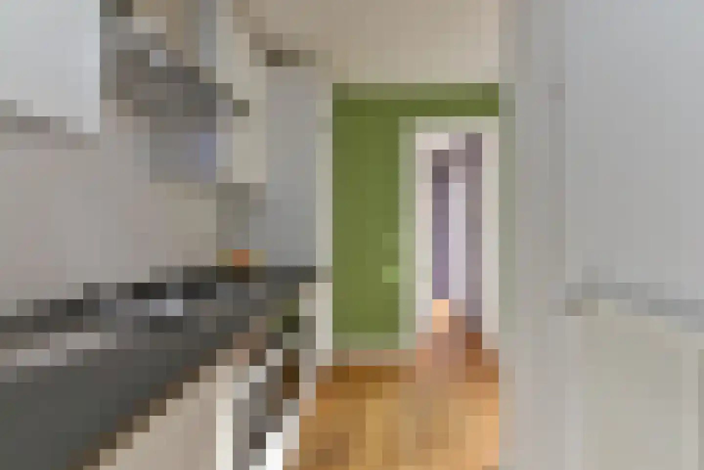 Abrikoosstraat 1 C Utrecht thumbnail 18