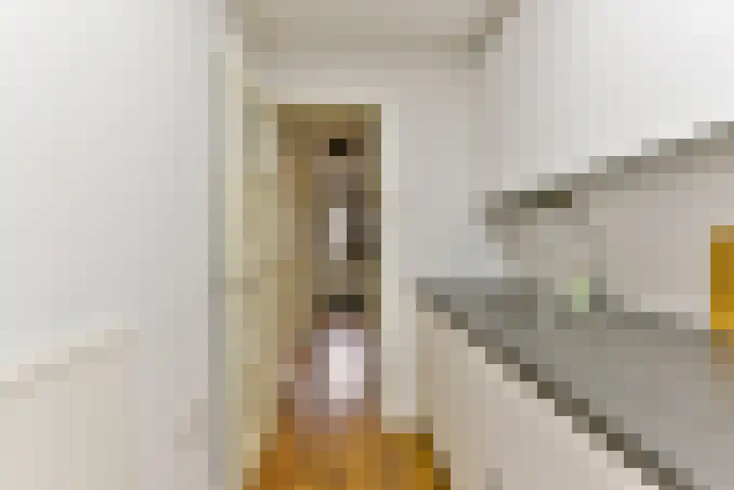 Abrikoosstraat 1 C Utrecht thumbnail 25