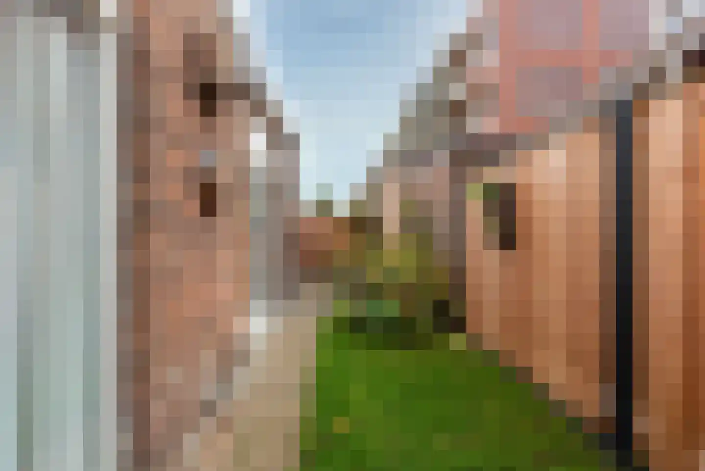 Abrikoosstraat 1 C Utrecht thumbnail 28