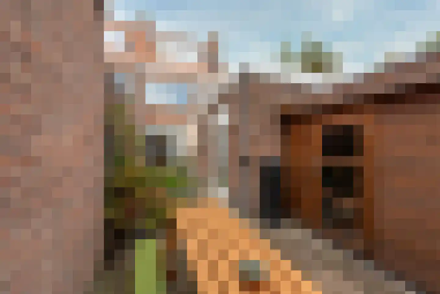 Abrikoosstraat 1 C Utrecht thumbnail 30