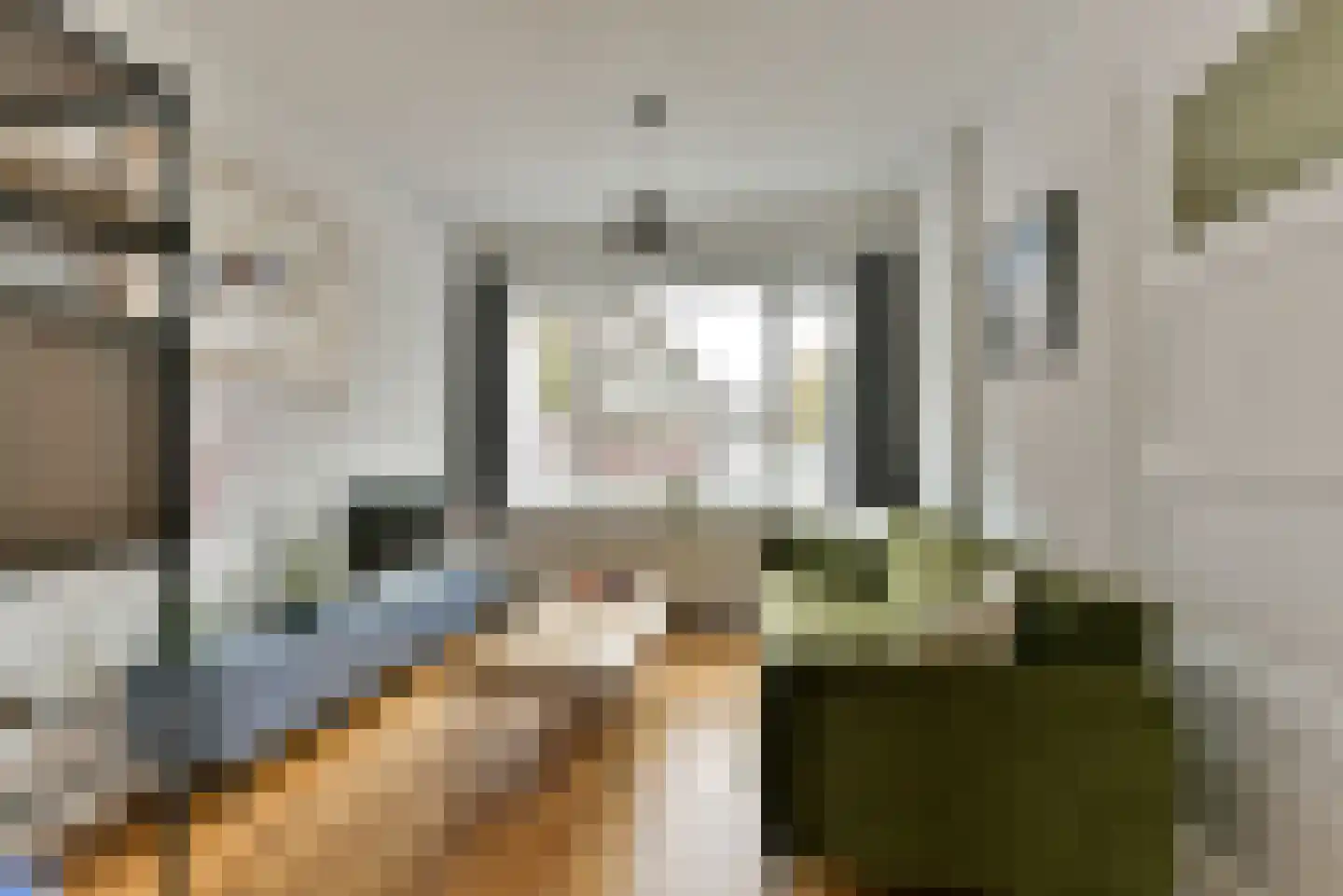 Abrikoosstraat 1 C Utrecht thumbnail 9