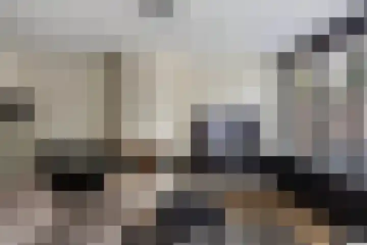 Abrikozendreef 7 Rozenburg thumbnail 12