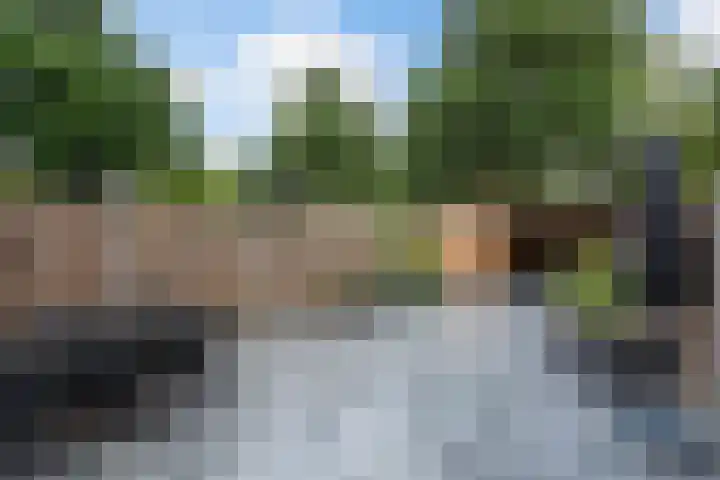 Abrikozendreef 7 Rozenburg thumbnail 26