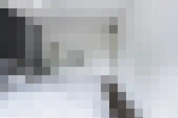 Abrikozendreef 7 Rozenburg thumbnail 36