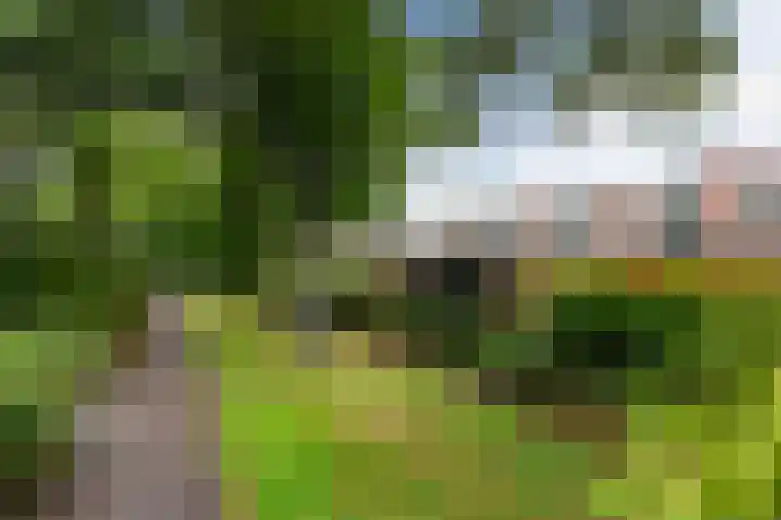 Abrikozendreef 7 Rozenburg thumbnail 43