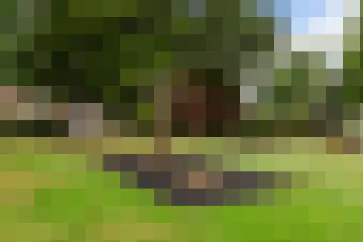 Abrikozendreef 7 Rozenburg thumbnail 44