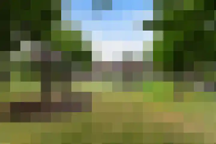 Abrikozendreef 7 Rozenburg thumbnail 45