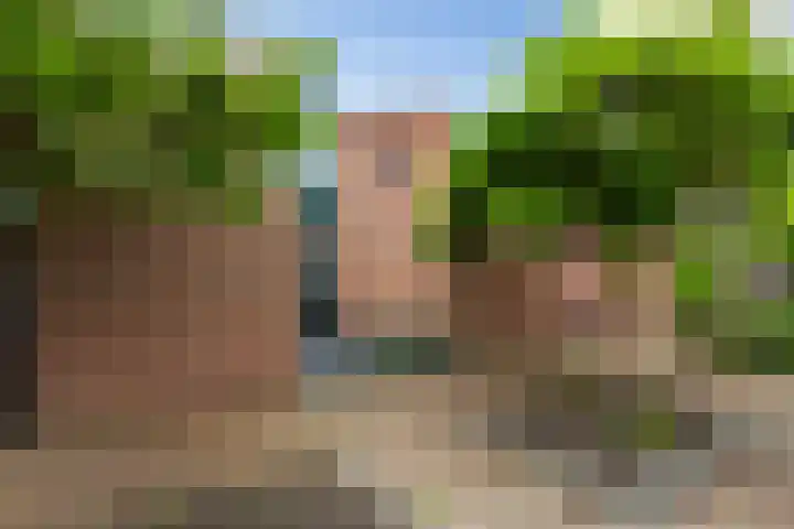 Abrikozendreef 7 Rozenburg thumbnail 5