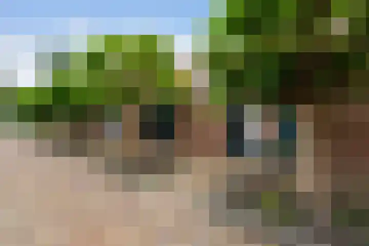 Abrikozendreef 7 Rozenburg thumbnail 6