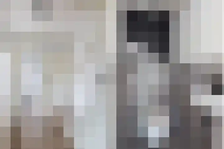 Abrikozendreef 7 Rozenburg thumbnail 9