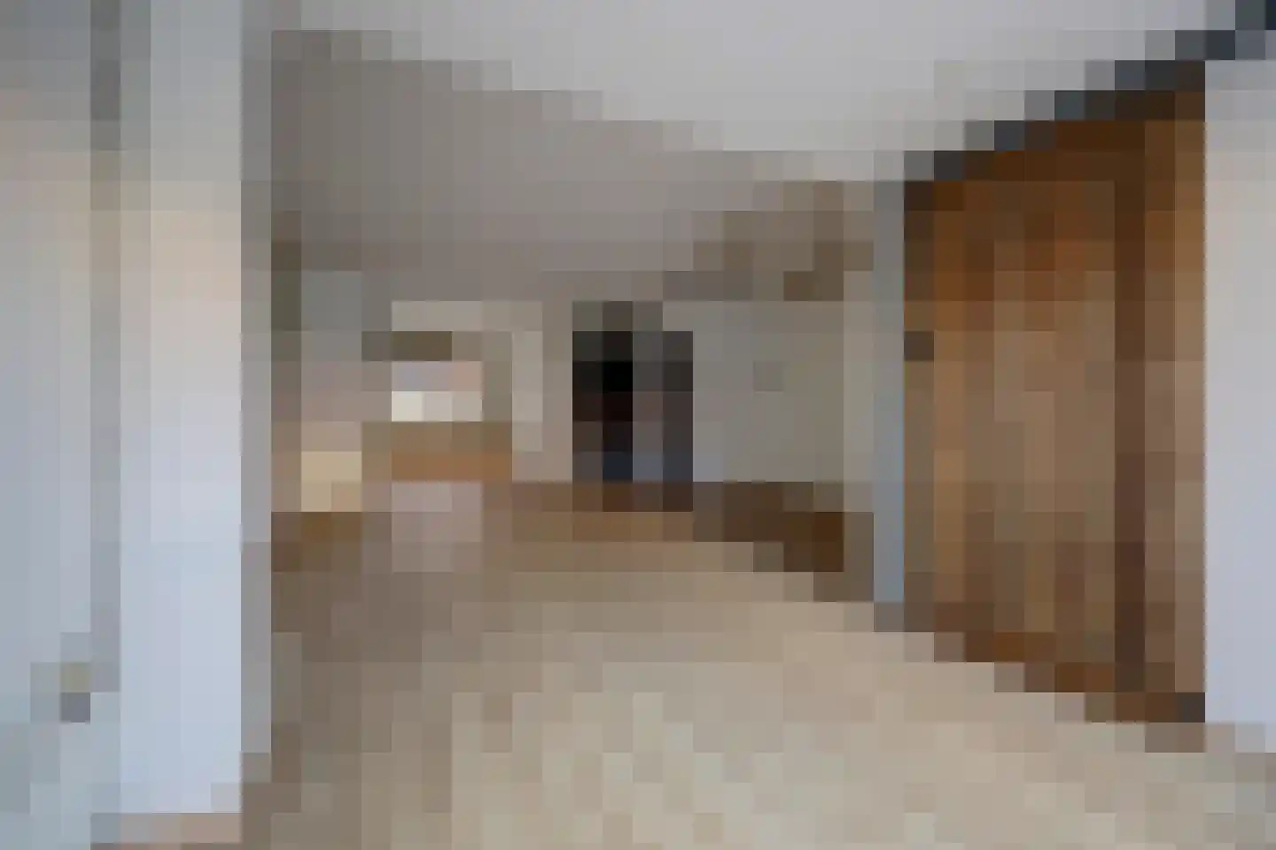 Abrikozengaard 6 Spijkenisse thumbnail 13