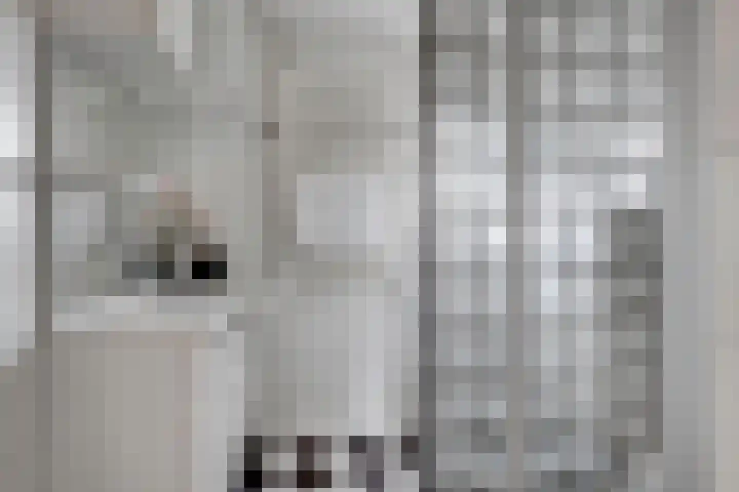 Abrikozengaard 6 Wijk bij Duurstede thumbnail 17