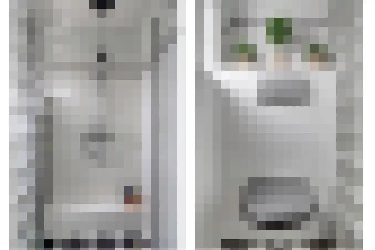 Abrikozengaard 6 Wijk bij Duurstede thumbnail 19