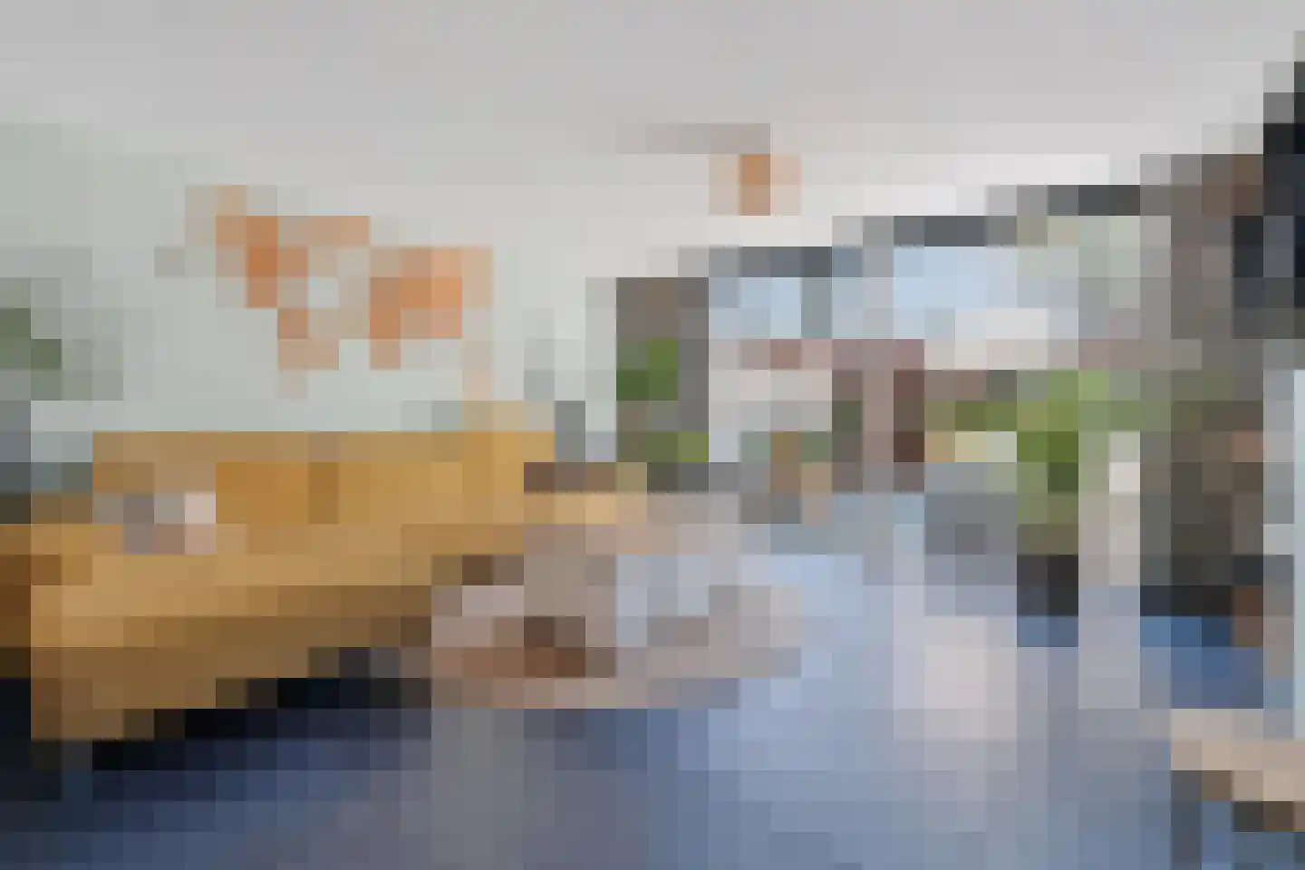 Abrikozengaarde 3 Schiedam thumbnail 11