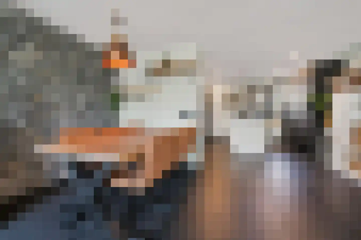 Abrikozengaarde 3 Schiedam thumbnail 15