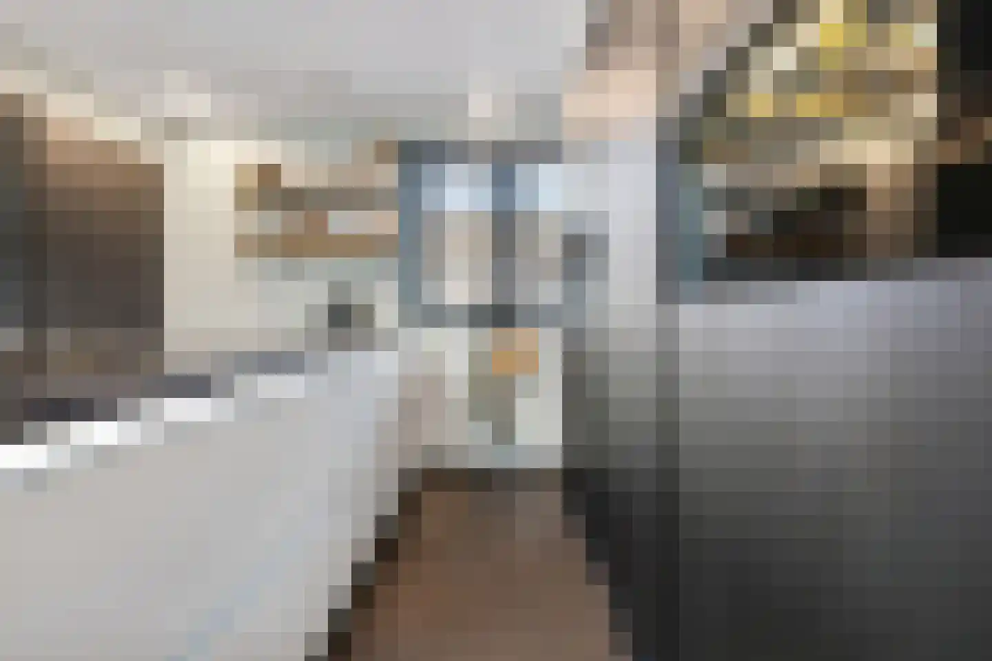 Abrikozengaarde 3 Schiedam thumbnail 18