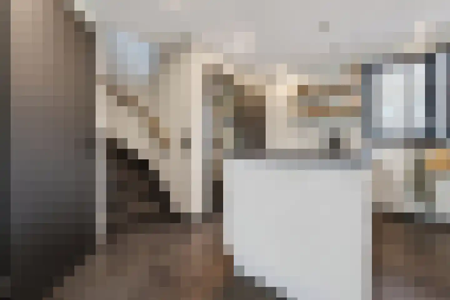 Abrikozengaarde 3 Schiedam thumbnail 20