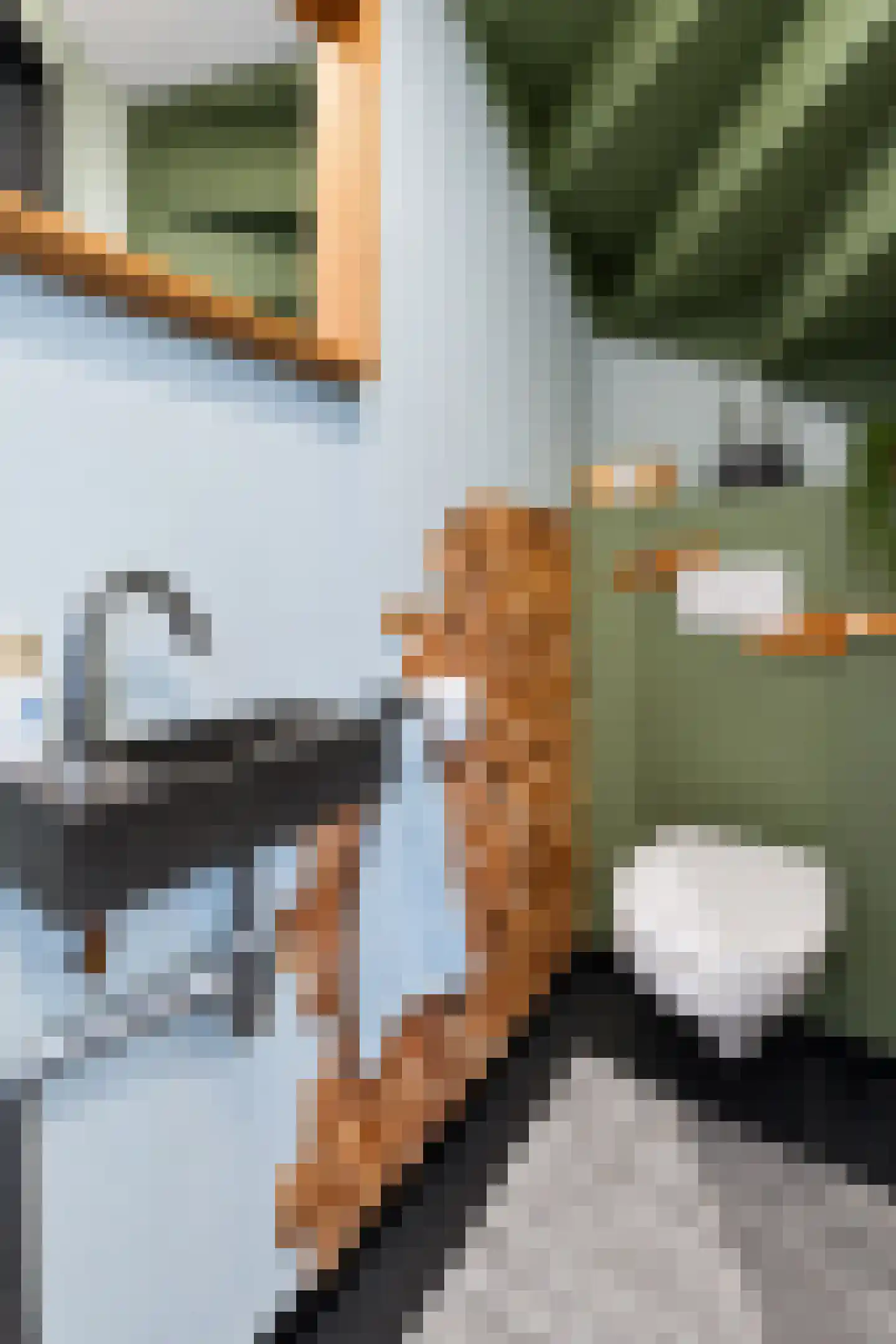 Abrikozengaarde 3 Schiedam thumbnail 23