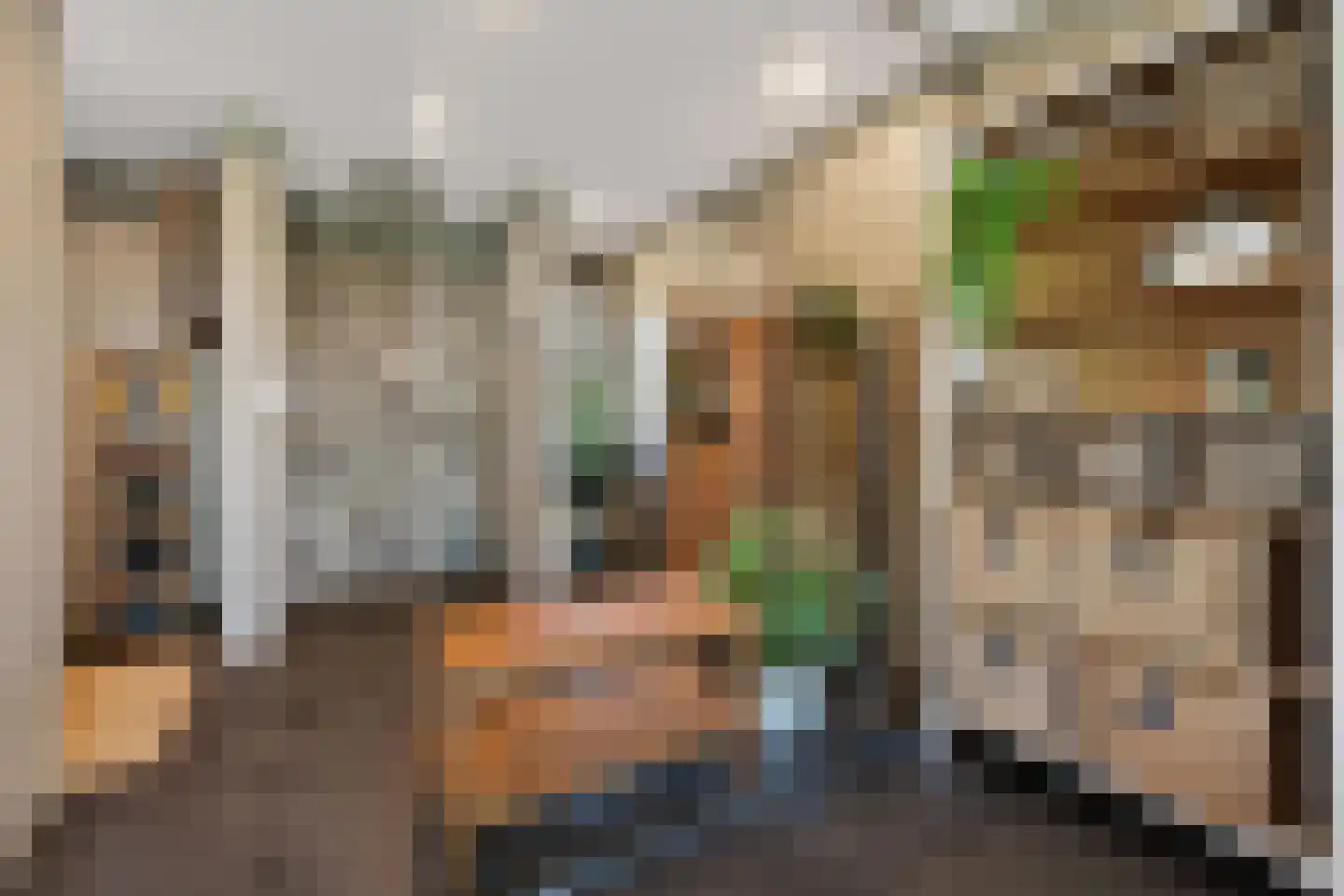 Abrikozengaarde 3 Schiedam thumbnail 24