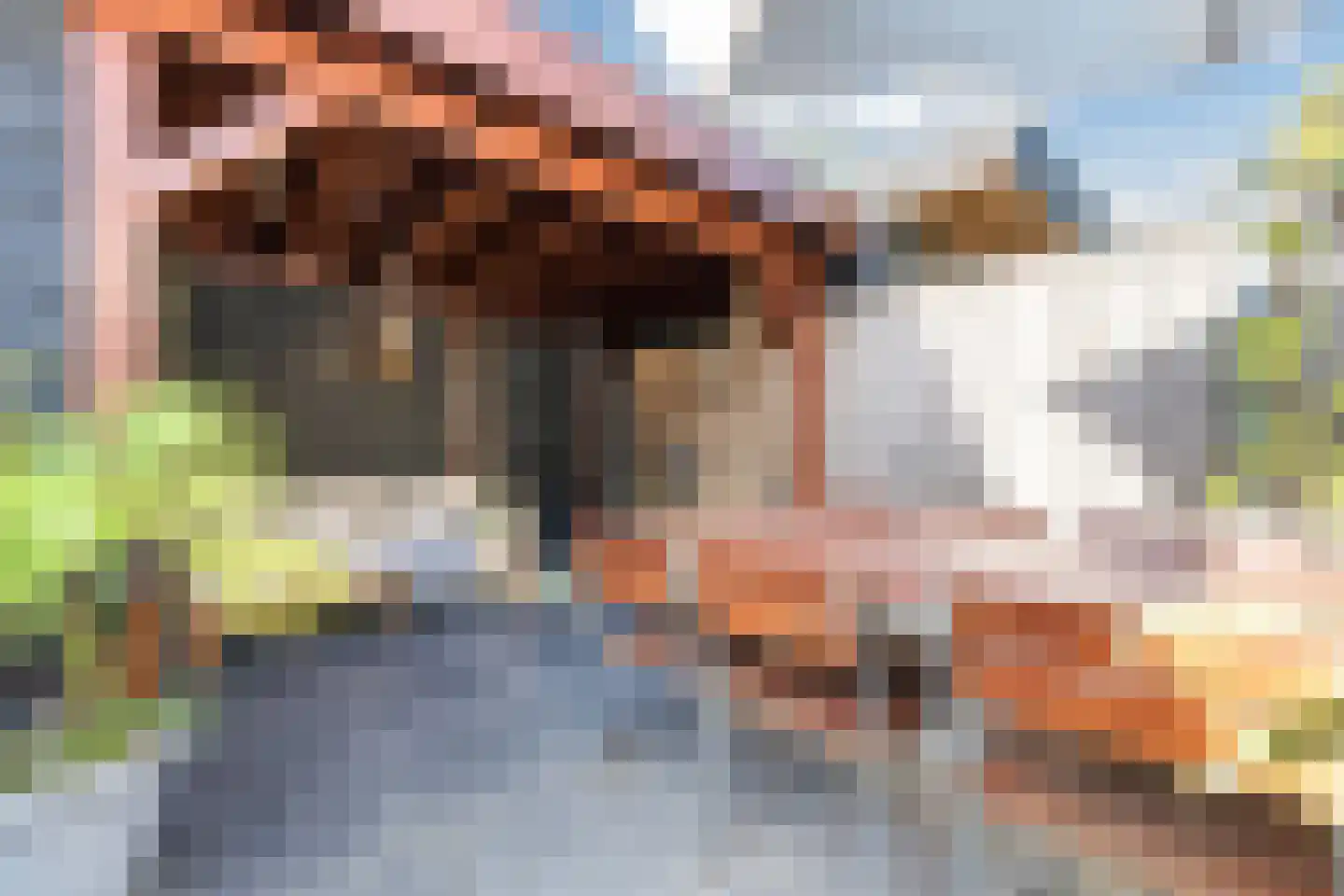 Abrikozengaarde 3 Schiedam thumbnail 29