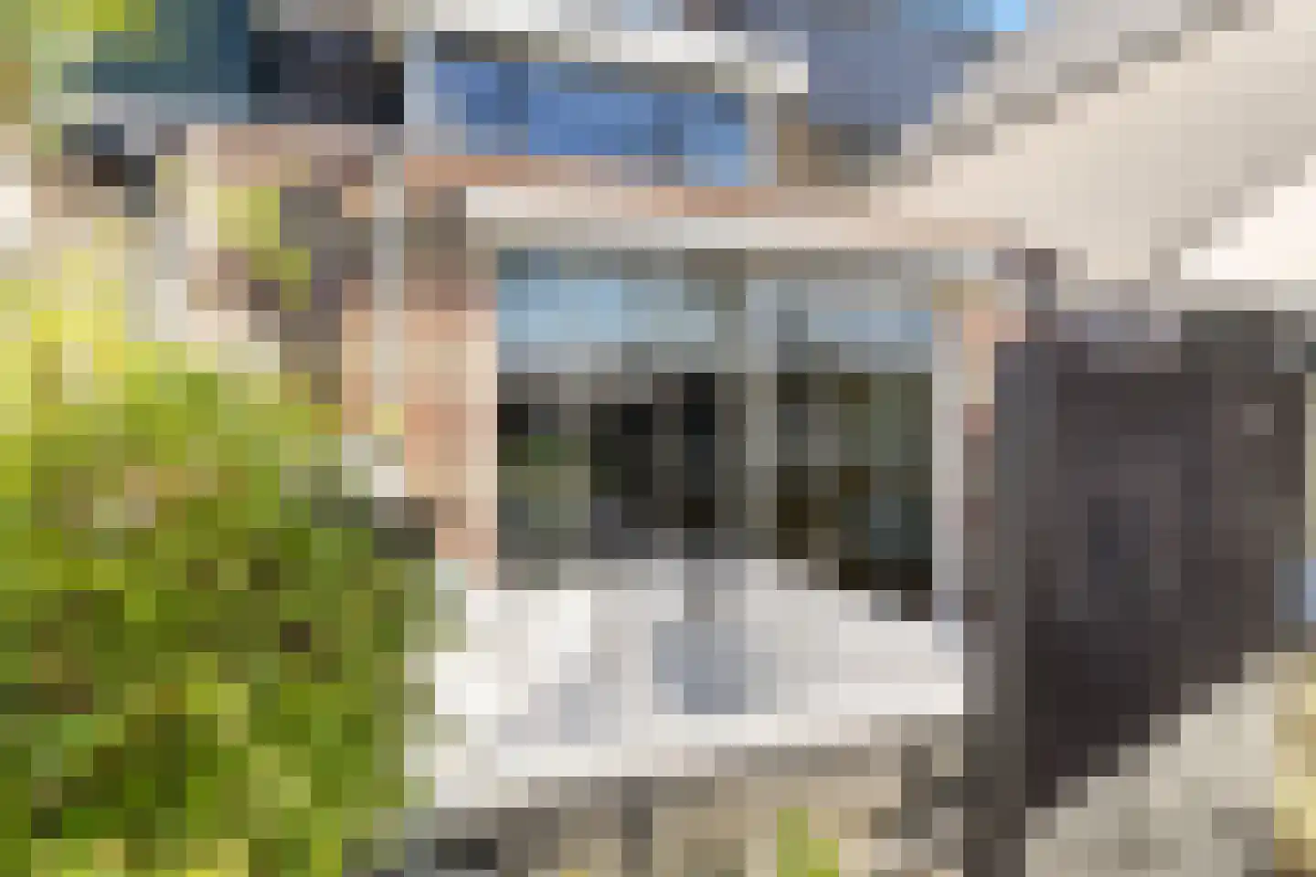 Abrikozengaarde 3 Schiedam thumbnail 34