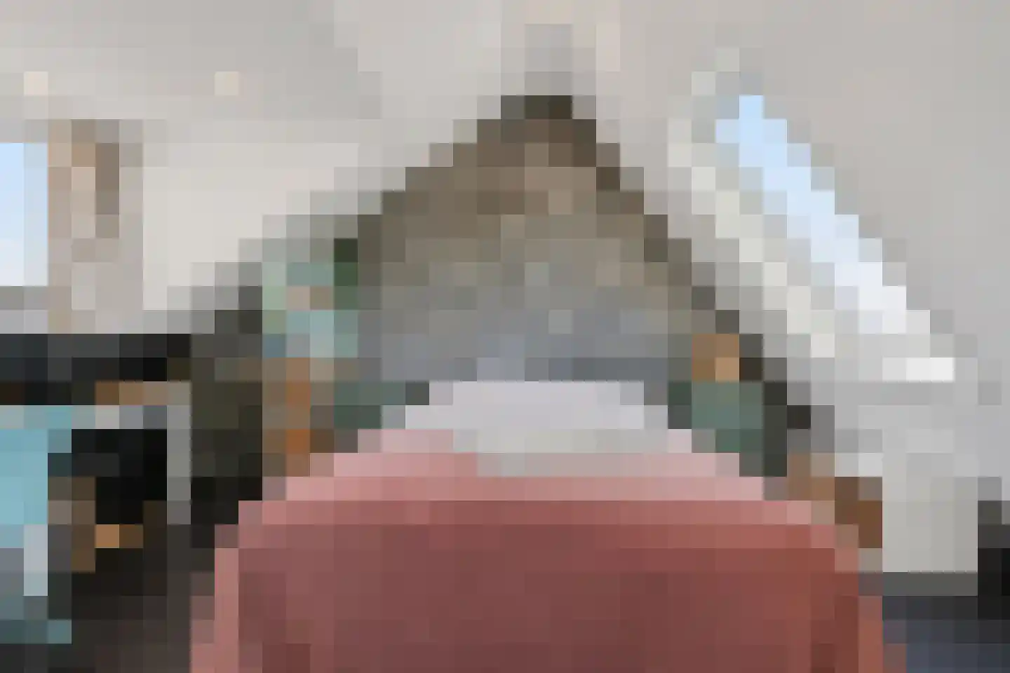 Abrikozengaarde 3 Schiedam thumbnail 39