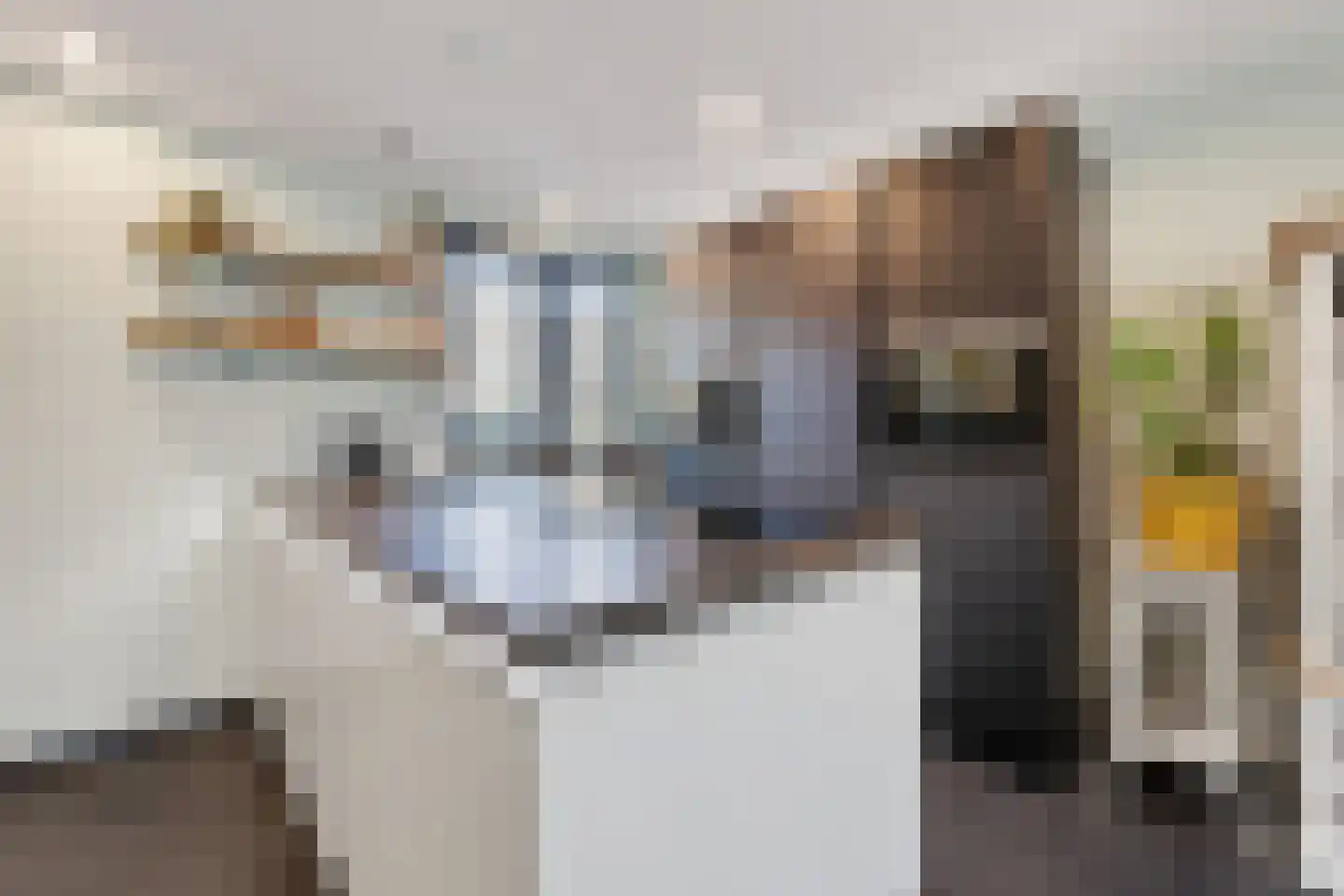 Abrikozengaarde 3 Schiedam thumbnail 5