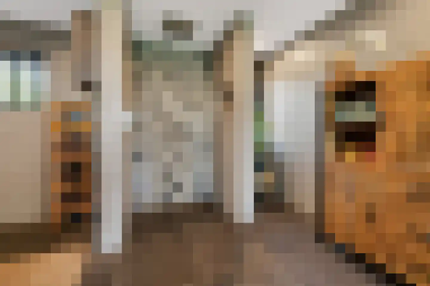 Abrikozengaarde 3 Schiedam thumbnail 6
