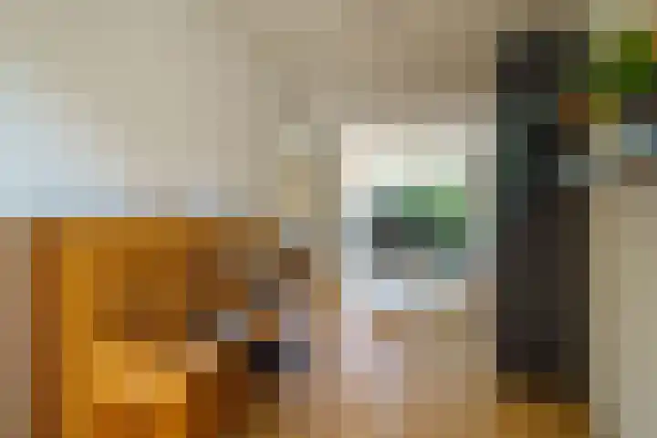 Abrikozenhof 1 Almere thumbnail 20
