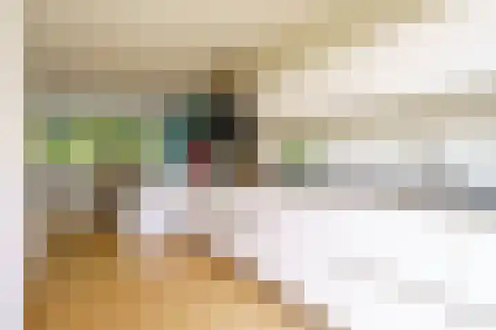 Abrikozenhof 1 Almere thumbnail 27