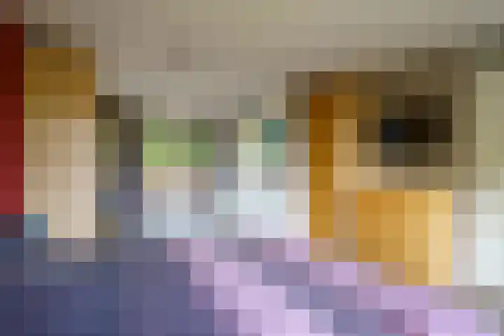 Abrikozenhof 1 Almere thumbnail 31
