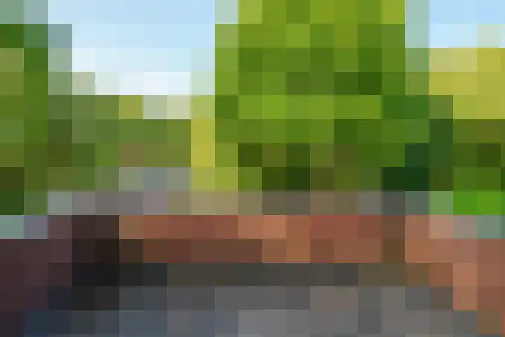 Abrikozenhof 1 Almere thumbnail 33